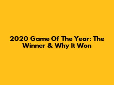 2020 Game Of The Year: The Winner & Why It Won