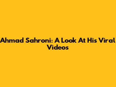 Ahmad Sahroni: A Look At His Viral Videos