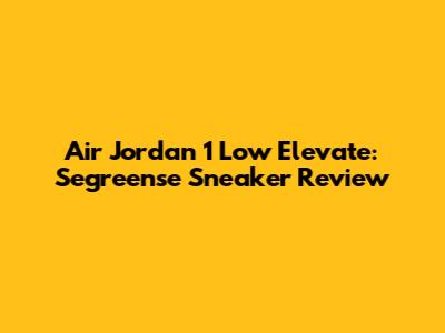 Air Jordan 1 Low Elevate: Segreense Sneaker Review