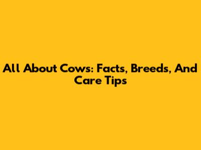 All About Cows: Facts, Breeds, And Care Tips