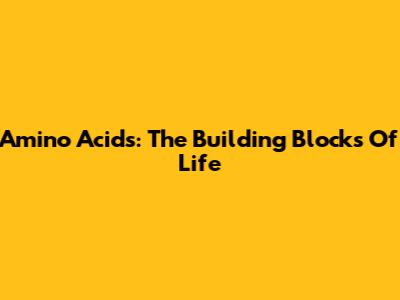 Amino Acids: The Building Blocks Of Life