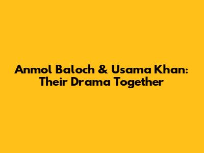 Anmol Baloch & Usama Khan: Their Drama Together