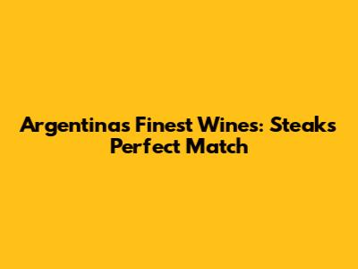 Argentina's Finest Wines: Steak's Perfect Match