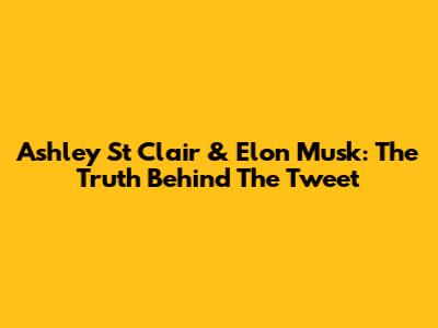 Ashley St Clair & Elon Musk: The Truth Behind The Tweet