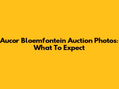 Aucor Bloemfontein Auction Photos: What To Expect