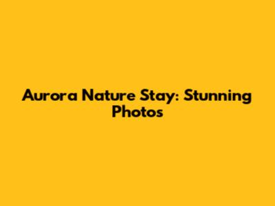 Aurora Nature Stay: Stunning Photos