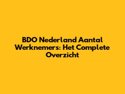 BDO Nederland Aantal Werknemers: Het Complete Overzicht