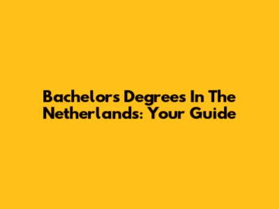 Bachelor's Degrees In The Netherlands: Your Guide