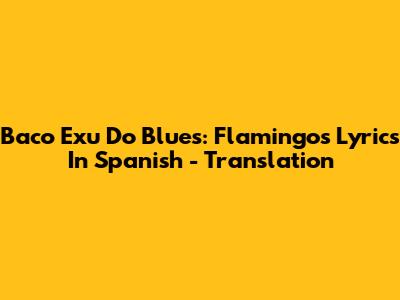 Baco Exu Do Blues: Flamingos Lyrics In Spanish - Translation
