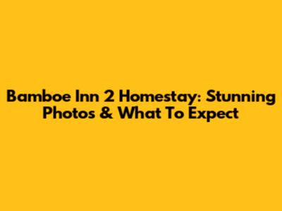Bamboe Inn 2 Homestay: Stunning Photos & What To Expect