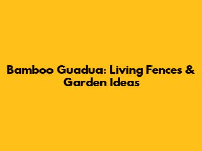 Bamboo Guadua: Living Fences & Garden Ideas