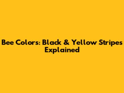 Bee Colors: Black & Yellow Stripes Explained