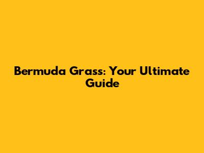 Bermuda Grass: Your Ultimate Guide