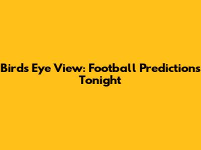 Bird's Eye View: Football Predictions Tonight