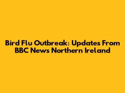 Bird Flu Outbreak: Updates From BBC News Northern Ireland