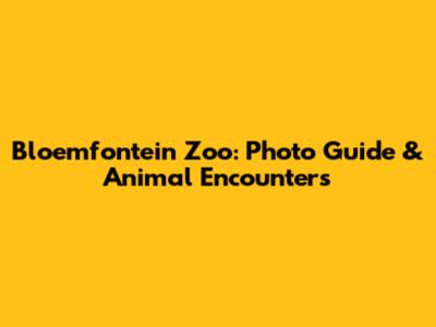Bloemfontein Zoo: Photo Guide & Animal Encounters