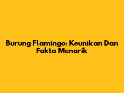 Burung Flamingo: Keunikan Dan Fakta Menarik