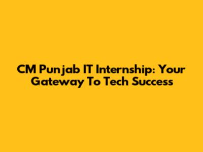 CM Punjab IT Internship: Your Gateway To Tech Success
