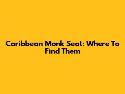 Caribbean Monk Seal: Where To Find Them