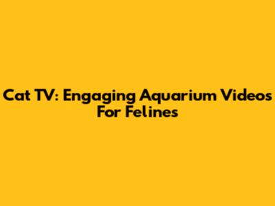 Cat TV: Engaging Aquarium Videos For Felines
