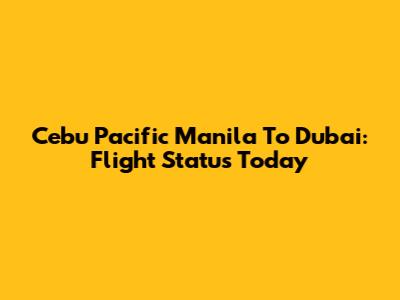 Cebu Pacific Manila To Dubai: Flight Status Today