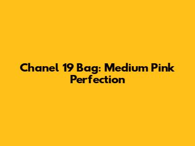 Chanel 19 Bag: Medium Pink Perfection
