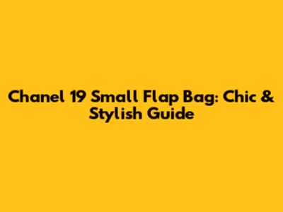 Chanel 19 Small Flap Bag: Chic & Stylish Guide