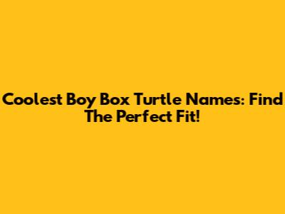 Coolest Boy Box Turtle Names: Find The Perfect Fit!