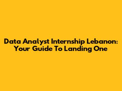 Data Analyst Internship Lebanon: Your Guide To Landing One