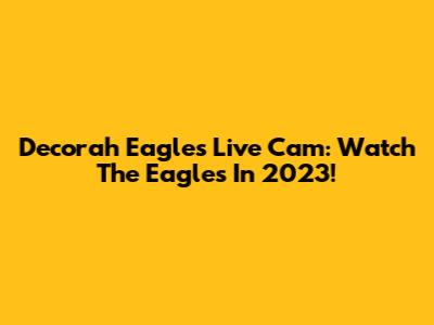 Decorah Eagles Live Cam: Watch The Eagles In 2023!