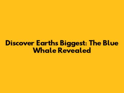 Discover Earth's Biggest: The Blue Whale Revealed