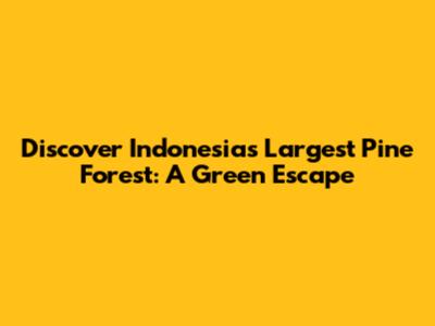 Discover Indonesia's Largest Pine Forest: A Green Escape