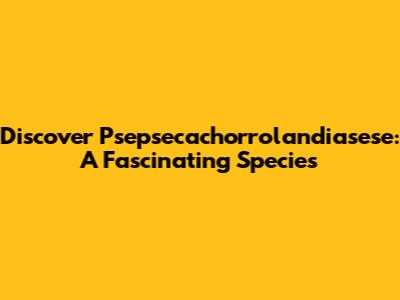 Discover Psepsecachorrolandiasese: A Fascinating Species