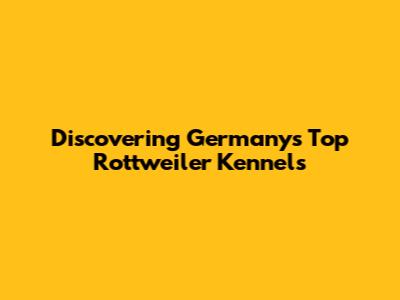 Discovering Germany's Top Rottweiler Kennels