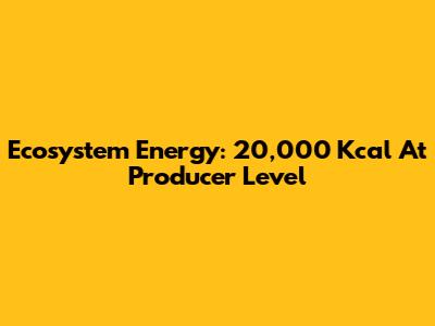 Ecosystem Energy: 20,000 Kcal At Producer Level