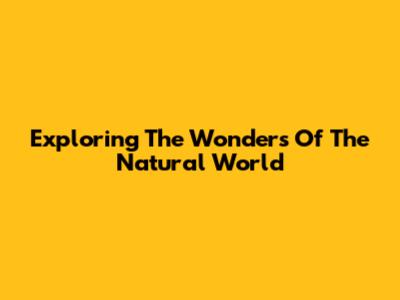 Exploring The Wonders Of The Natural World