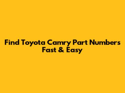 Find Toyota Camry Part Numbers Fast & Easy