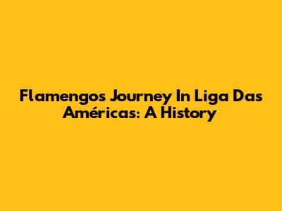 Flamengo's Journey In Liga Das Américas: A History