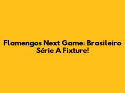 Flamengo's Next Game: Brasileiro Série A Fixture!