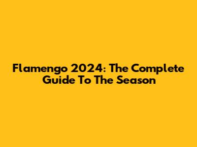 Flamengo 2024: The Complete Guide To The Season