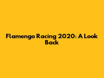 Flamengo Racing 2020: A Look Back