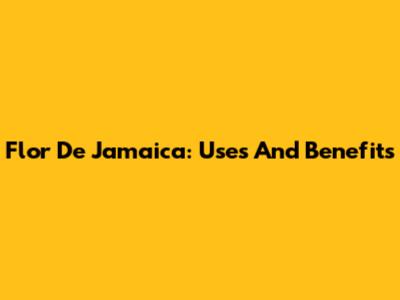 Flor De Jamaica: Uses And Benefits