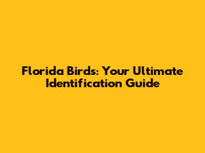 Florida Birds: Your Ultimate Identification Guide