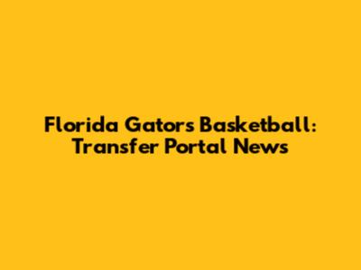 Florida Gators Basketball: Transfer Portal News