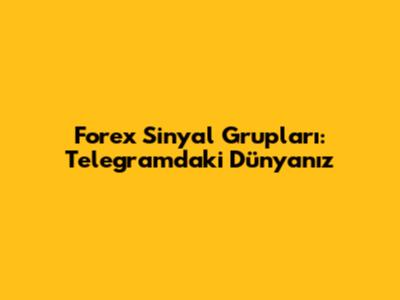 Forex Sinyal Grupları: Telegram'daki Dünyanız