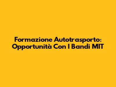 Formazione Autotrasporto: Opportunità Con I Bandi MIT