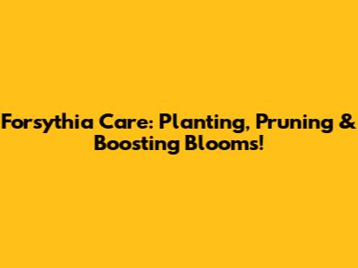 Forsythia Care: Planting, Pruning & Boosting Blooms!