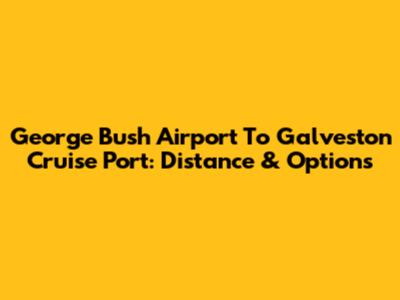 George Bush Airport To Galveston Cruise Port: Distance & Options