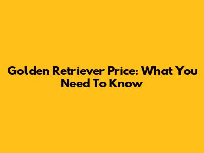 Golden Retriever Price: What You Need To Know