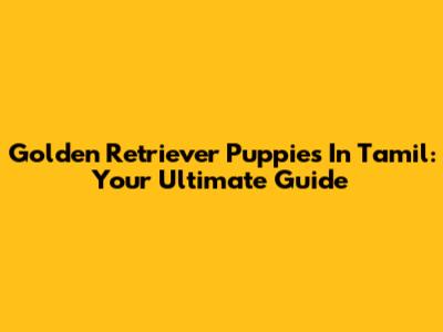 Golden Retriever Puppies In Tamil: Your Ultimate Guide